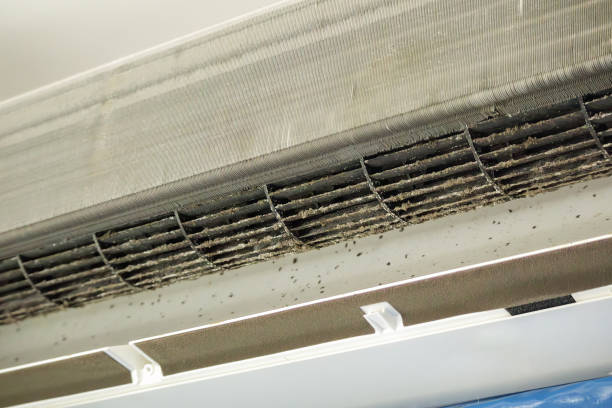 Best Duct Cleaning for Homes  in Spring Valley, CA